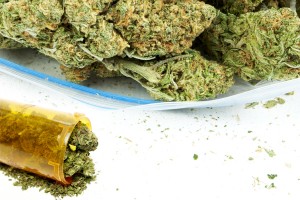 marijuana possession,illegal marijuana possession,marijuana arrests,marijuana busts,marijuana charge